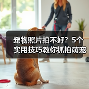 宠物照片拍不好？5个实用技巧教你抓拍萌宠日常（图2）