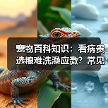 宠物百科知识:看病贵选粮难洗澡应激?常见场景选择要点与注意事项(图3) 宠物百科知识:看病贵选粮难洗澡应激?常见场景选择要点与注意事项(图3)