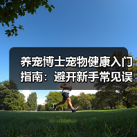 养宠博士宠物健康入门指南：避开新手常见误区与解决方案（图3）