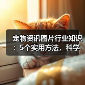 宠物资讯图片行业知识：5个实用方法，科学养宠必备指南（图2）