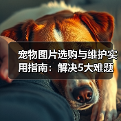 宠物图片选购与维护实用指南：解决5大难题的高效方法（图4）