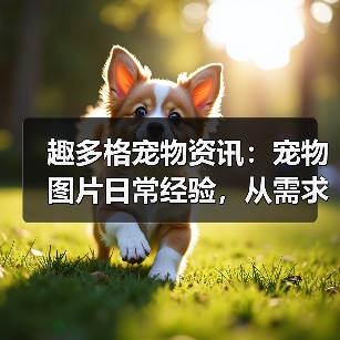 趣多格宠物资讯：宠物图片日常经验，从需求判断到使用维护指南（图2）