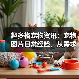 趣多格宠物资讯：宠物图片日常经验，从需求判断到使用维护指南（图1）