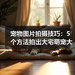 宠物图片拍摄技巧:5个方法拍出大宅萌宠大片2026(图2) 宠物图片拍摄技巧:5个方法拍出大宅萌宠大片2026(图2)