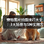 宠物图片拍摄技巧大全:3大场景与5种实用方法(图4) 宠物图片拍摄技巧大全:3大场景与5种实用方法(图4)