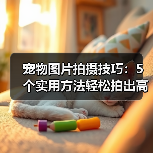 宠物图片拍摄技巧:5个实用方法轻松拍出高颜值照片(图2) 宠物图片拍摄技巧:5个实用方法轻松拍出高颜值照片(图2)