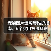 宠物图片选购与维护指南:6个实用方法及常见问题解析(图2) 宠物图片选购与维护指南:6个实用方法及常见问题解析(图2)