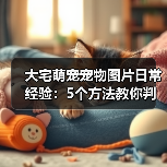 大宅萌宠宠物图片日常经验：5个方法教你判断需求与维护（图2）