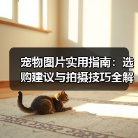 宠物图片实用指南:选购建议与拍摄技巧全解析(图1) 宠物图片实用指南:选购建议与拍摄技巧全解析(图1)