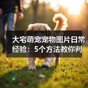 大宅萌宠宠物图片日常经验：5个方法教你判断需求与维护（图1）
