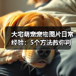 大宅萌宠宠物图片日常经验：5个方法教你判断需求与维护（图3）