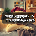 宠物图片拍摄技巧：5个方法拍出毛孩子高光时刻（图1）