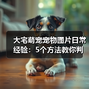 大宅萌宠宠物图片日常经验：5个方法教你判断需求与维护（图4）