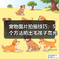 宠物图片拍摄技巧：5个方法拍出毛孩子高光时刻（图4）