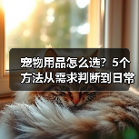 宠物用品怎么选?5个方法从需求判断到日常维护(图4) 宠物用品怎么选?5个方法从需求判断到日常维护(图4)