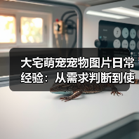 大宅萌宠宠物图片日常经验:从需求判断到使用维护宝典(图3) 大宅萌宠宠物图片日常经验:从需求判断到使用维护宝典(图3)