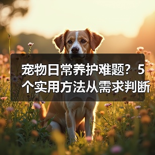 宠物日常养护难题?5个实用方法从需求判断到使用维护(图1) 宠物日常养护难题?5个实用方法从需求判断到使用维护(图1)