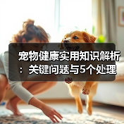 宠物健康实用知识解析:关键问题与5个处理方法(图2) 宠物健康实用知识解析:关键问题与5个处理方法(图2)