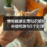 宠物健康实用知识解析:关键问题与5个处理方法(图3) 宠物健康实用知识解析:关键问题与5个处理方法(图3)