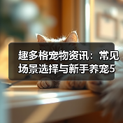 趣多格宠物资讯:常见场景选择与新手养宠5大注意事项(图2) 趣多格宠物资讯:常见场景选择与新手养宠5大注意事项(图2)
