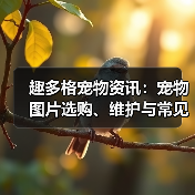 趣多格宠物资讯:宠物图片选购、维护与常见问题解析指南(图4) 趣多格宠物资讯:宠物图片选购、维护与常见问题解析指南(图4)