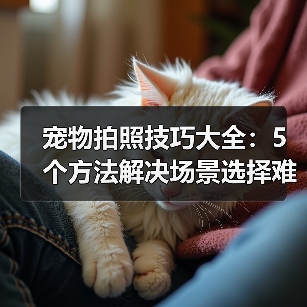 宠物拍照技巧大全:5个方法解决场景选择难题(图4) 宠物拍照技巧大全:5个方法解决场景选择难题(图4)