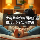 大宅萌宠宠物图片拍摄技巧:5个实用方法,拍出高级感(图2) 大宅萌宠宠物图片拍摄技巧:5个实用方法,拍出高级感(图2)