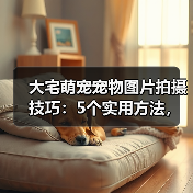 大宅萌宠宠物图片拍摄技巧:5个实用方法,拍出高级感(图4) 大宅萌宠宠物图片拍摄技巧:5个实用方法,拍出高级感(图4)