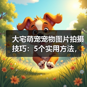 大宅萌宠宠物图片拍摄技巧:5个实用方法,拍出高级感(图3) 大宅萌宠宠物图片拍摄技巧:5个实用方法,拍出高级感(图3)