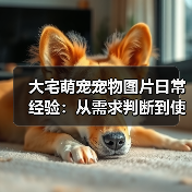 大宅萌宠宠物图片日常经验:从需求判断到使用维护全攻略(图2) 大宅萌宠宠物图片日常经验:从需求判断到使用维护全攻略(图2)