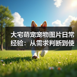 大宅萌宠宠物图片日常经验:从需求判断到使用维护全攻略(图4) 大宅萌宠宠物图片日常经验:从需求判断到使用维护全攻略(图4)