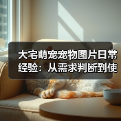 大宅萌宠宠物图片日常经验:从需求判断到使用维护全攻略(图1) 大宅萌宠宠物图片日常经验:从需求判断到使用维护全攻略(图1)