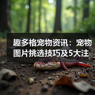 趣多格宠物资讯：宠物图片挑选技巧及5大注意事项（图2）