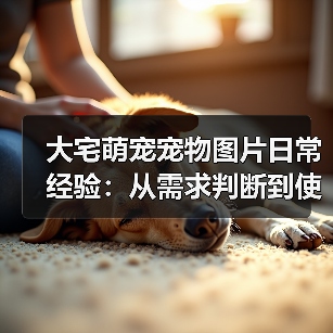 大宅萌宠宠物图片日常经验:从需求判断到使用维护全攻略(图2) 大宅萌宠宠物图片日常经验:从需求判断到使用维护全攻略(图2)