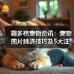 趣多格宠物资讯：宠物图片挑选技巧及5大注意事项（图4）
