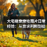 大宅萌宠宠物图片日常经验:从需求判断到使用维护全攻略(图4) 大宅萌宠宠物图片日常经验:从需求判断到使用维护全攻略(图4)