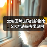 宠物图片选购维护指南：5大方法解决常见问题（图1）