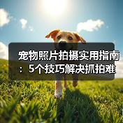 宠物照片拍摄实用指南:5个技巧解决抓拍难题(图4) 宠物照片拍摄实用指南:5个技巧解决抓拍难题(图4)