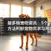 趣多格宠物资讯：5个方法判断宠物需求与用品维护技巧（图1）