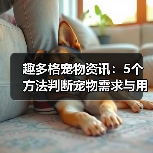 趣多格宠物资讯：5个方法判断宠物需求与用品维护技巧（图4）
