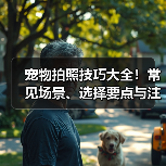宠物拍照技巧大全!常见场景、选择要点与注意事项(图2) 宠物拍照技巧大全!常见场景、选择要点与注意事项(图2)
