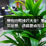宠物拍照技巧大全!常见场景、选择要点与注意事项(图3) 宠物拍照技巧大全!常见场景、选择要点与注意事项(图3)