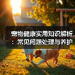 宠物健康实用知识解析:常见问题处理与养护要点2026(图2) 宠物健康实用知识解析:常见问题处理与养护要点2026(图2)