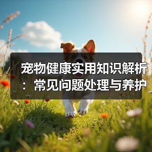宠物健康实用知识解析:常见问题处理与养护要点2026(图1) 宠物健康实用知识解析:常见问题处理与养护要点2026(图1)